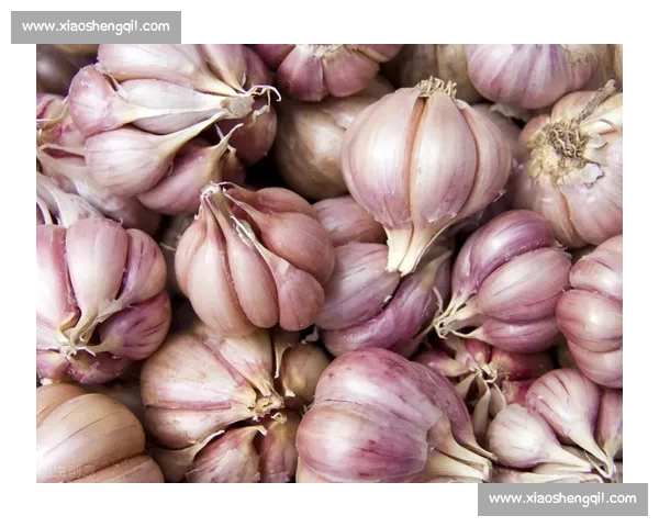 付钟全推荐 “世界最大甜苹果”：甘港农品融合新名片