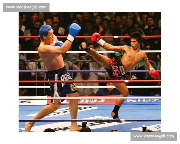 布洛克莱斯纳对决崔洪万力量体型巅峰碰撞的跨界之战传奇格斗看点