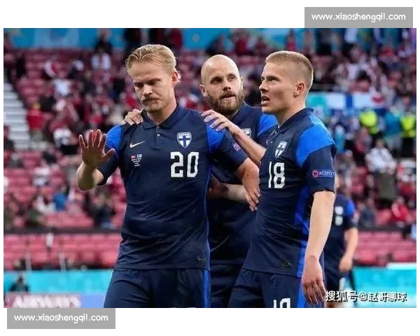 爱尔兰对阵芬兰谁赢了成焦点赛果揭晓引热议背后原因解析全面盘点